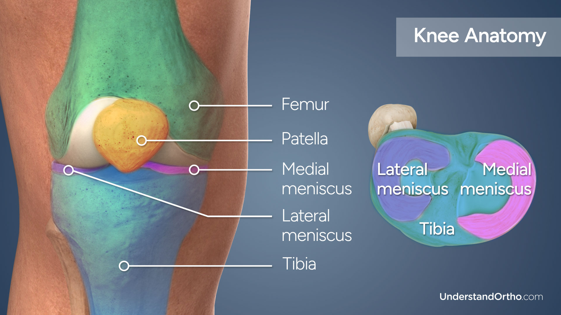 Meniscus Education Education Center